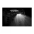 10.webp