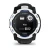 14.webp