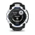 16.webp
