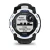 17.webp