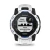 17.webp