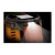 11.webp