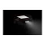 15.webp